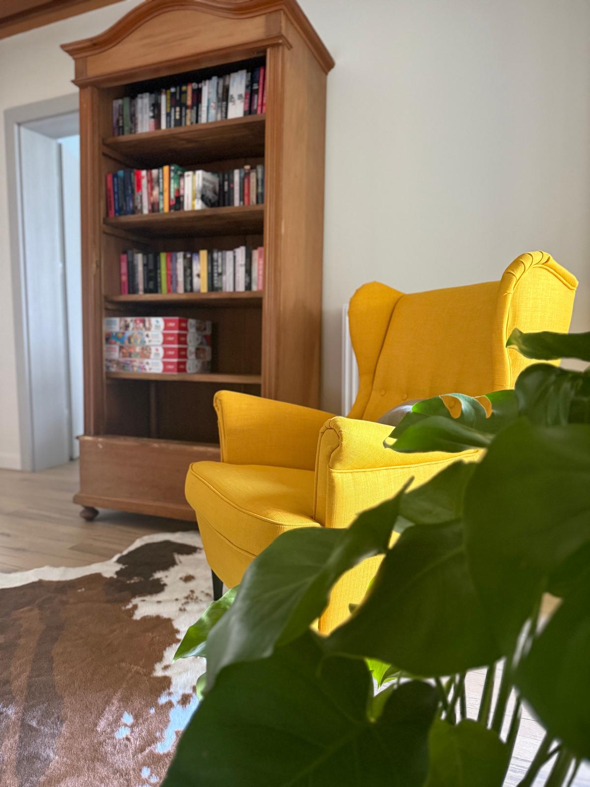 Wnętrze – fotel i biblioteczka